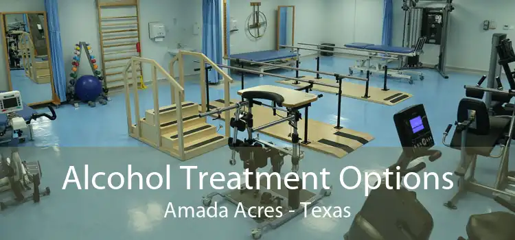 Alcohol Treatment Options Amada Acres - Texas