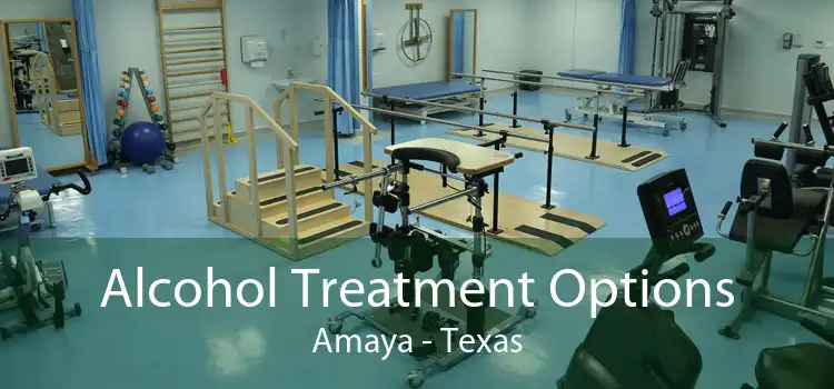Alcohol Treatment Options Amaya - Texas