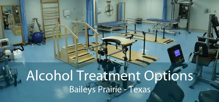 Alcohol Treatment Options Baileys Prairie - Texas