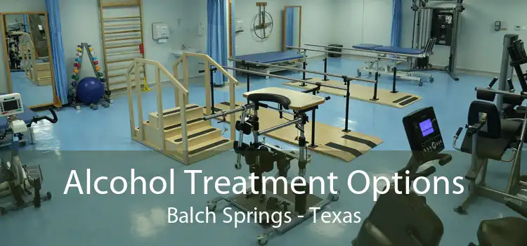 Alcohol Treatment Options Balch Springs - Texas