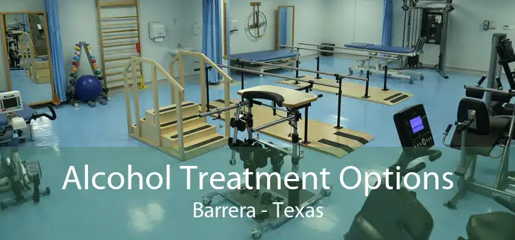 Alcohol Treatment Options Barrera - Texas