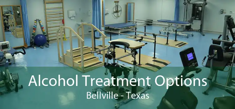 Alcohol Treatment Options Bellville - Texas