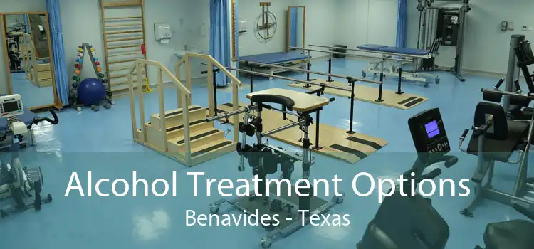 Alcohol Treatment Options Benavides - Texas