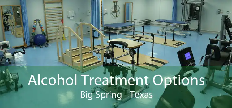 Alcohol Treatment Options Big Spring - Texas