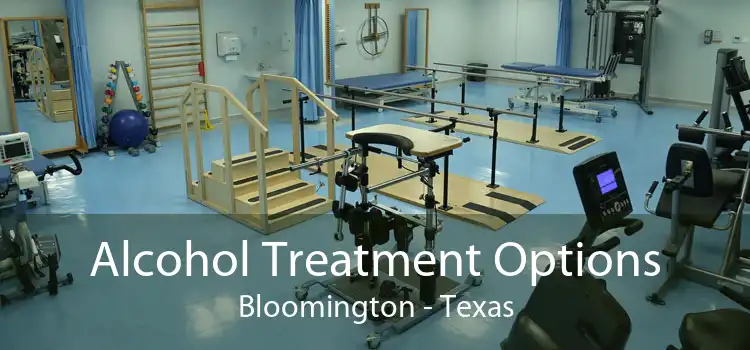 Alcohol Treatment Options Bloomington - Texas