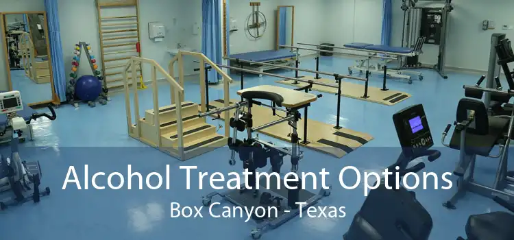 Alcohol Treatment Options Box Canyon - Texas