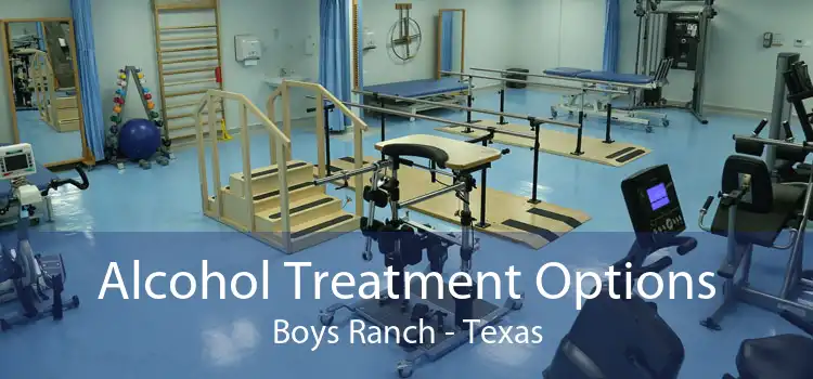 Alcohol Treatment Options Boys Ranch - Texas
