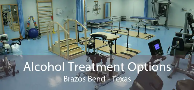 Alcohol Treatment Options Brazos Bend - Texas