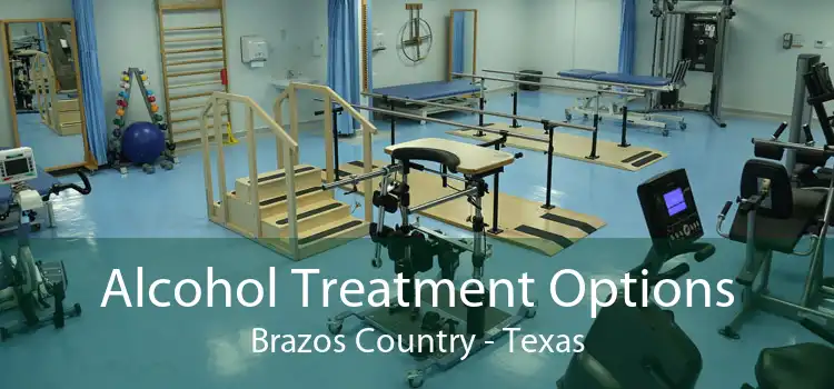 Alcohol Treatment Options Brazos Country - Texas