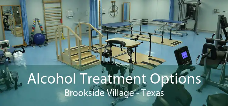 Alcohol Treatment Options Brookside Village - Texas