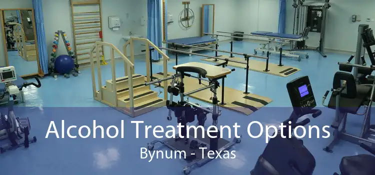 Alcohol Treatment Options Bynum - Texas