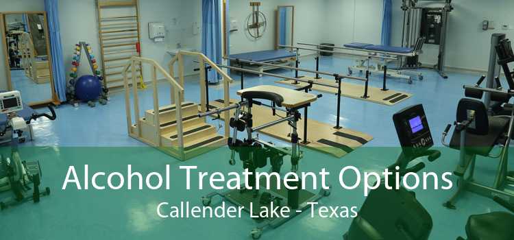Alcohol Treatment Options Callender Lake - Texas