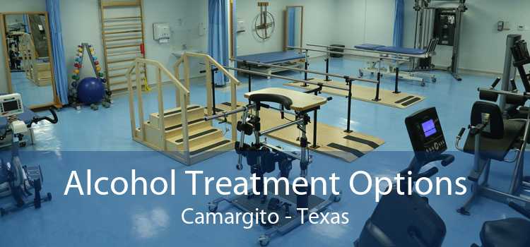 Alcohol Treatment Options Camargito - Texas