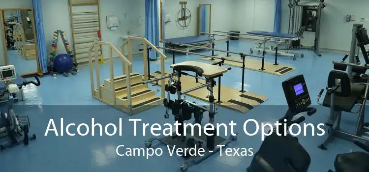 Alcohol Treatment Options Campo Verde - Texas