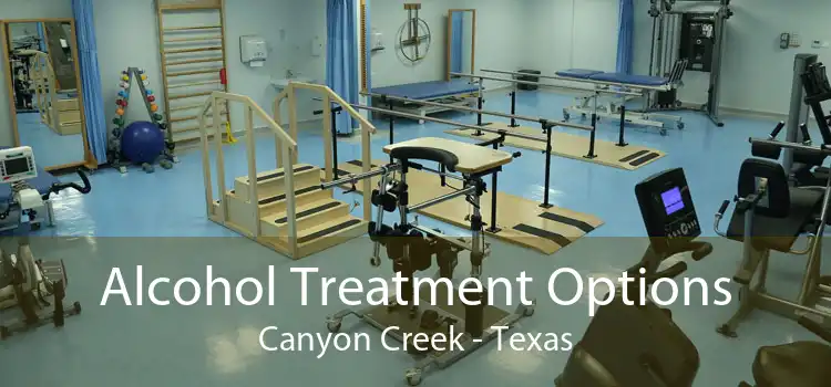 Alcohol Treatment Options Canyon Creek - Texas