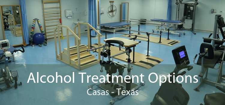 Alcohol Treatment Options Casas - Texas