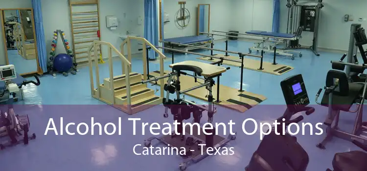 Alcohol Treatment Options Catarina - Texas