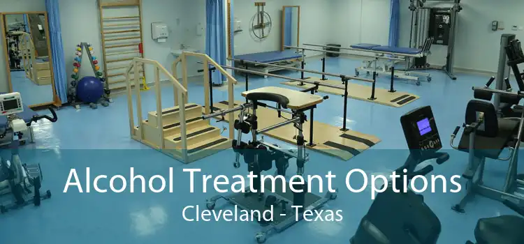 Alcohol Treatment Options Cleveland - Texas