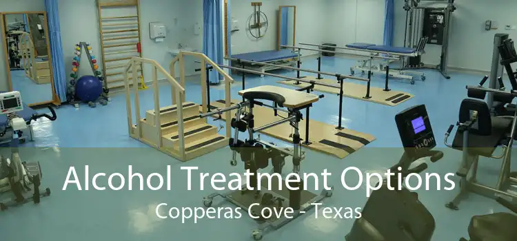 Alcohol Treatment Options Copperas Cove - Texas