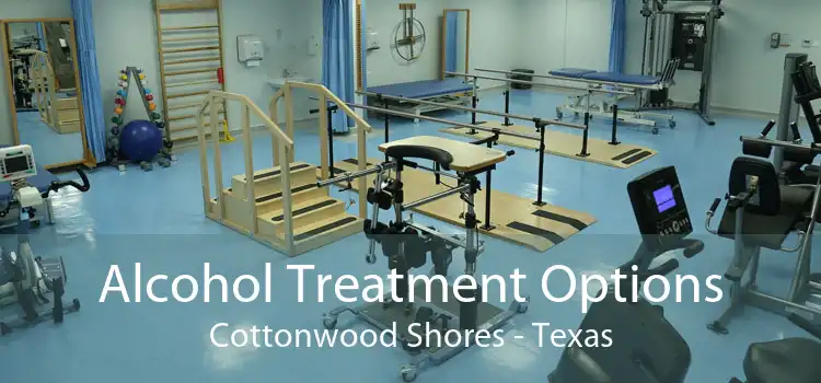 Alcohol Treatment Options Cottonwood Shores - Texas