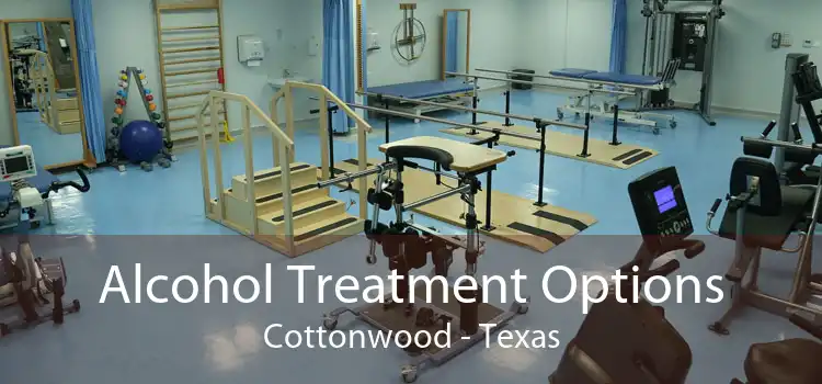 Alcohol Treatment Options Cottonwood - Texas