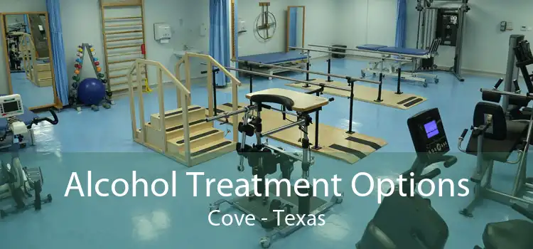 Alcohol Treatment Options Cove - Texas