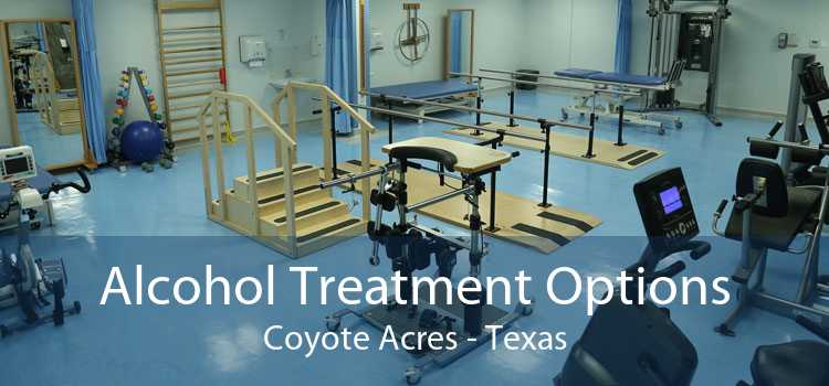 Alcohol Treatment Options Coyote Acres - Texas