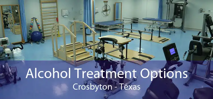 Alcohol Treatment Options Crosbyton - Texas
