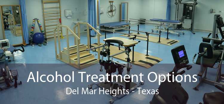 Alcohol Treatment Options Del Mar Heights - Texas