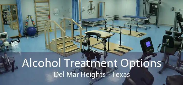 Alcohol Treatment Options Del Mar Heights - Texas