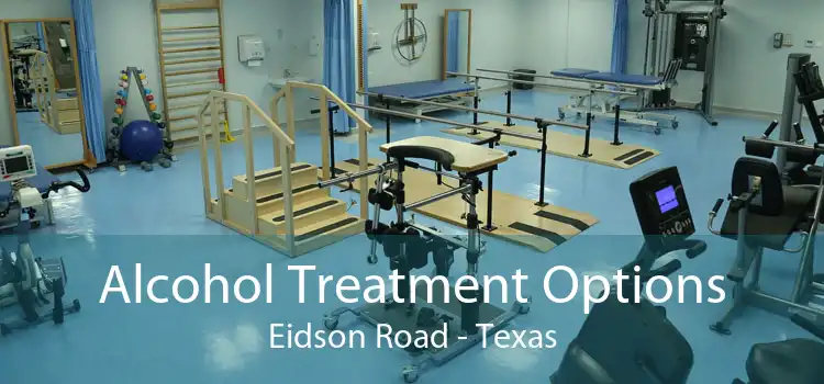 Alcohol Treatment Options Eidson Road - Texas
