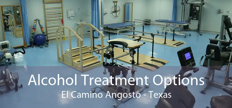 Alcohol Treatment Options El Camino Angosto - Texas