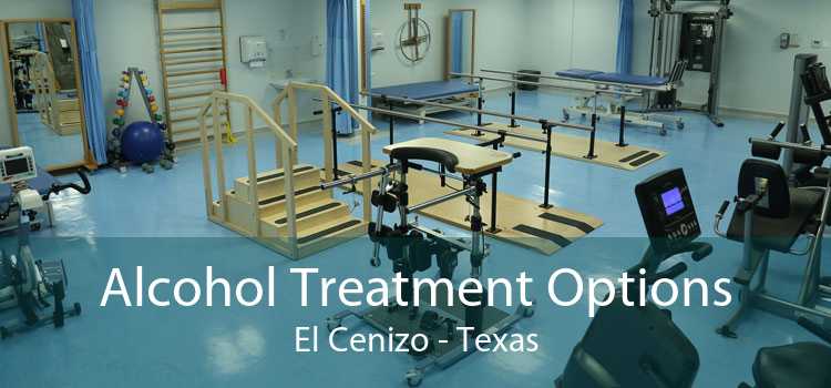 Alcohol Treatment Options El Cenizo - Texas