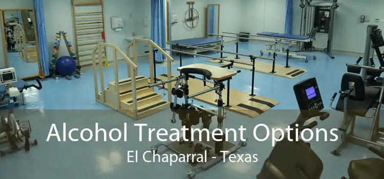 Alcohol Treatment Options El Chaparral - Texas