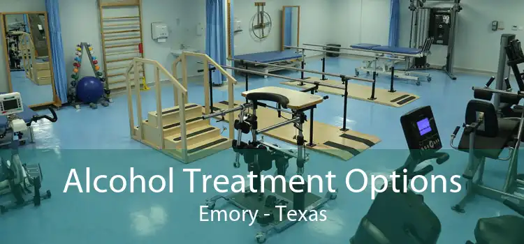 Alcohol Treatment Options Emory - Texas