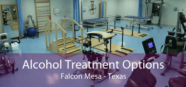 Alcohol Treatment Options Falcon Mesa - Texas