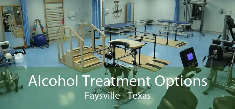 Alcohol Treatment Options Faysville - Texas