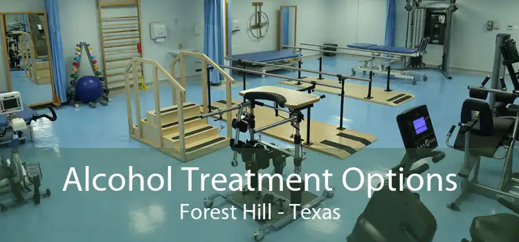 Alcohol Treatment Options Forest Hill - Texas