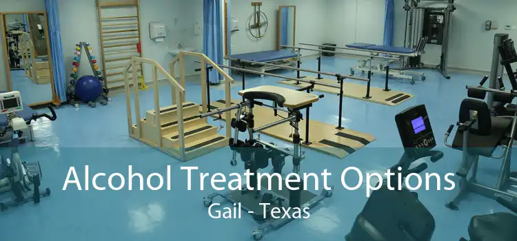 Alcohol Treatment Options Gail - Texas