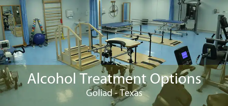 Alcohol Treatment Options Goliad - Texas