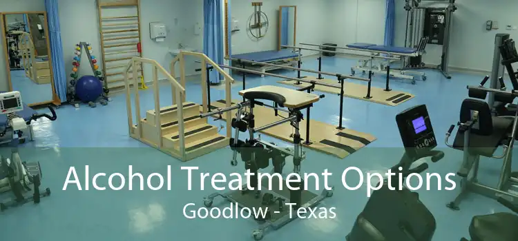 Alcohol Treatment Options Goodlow - Texas
