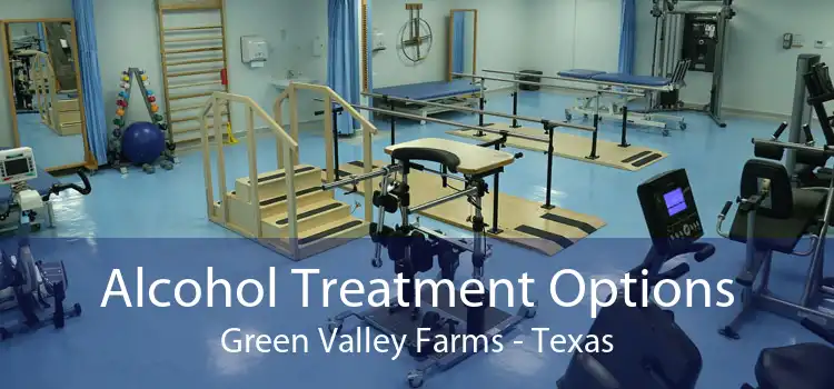 Alcohol Treatment Options Green Valley Farms - Texas