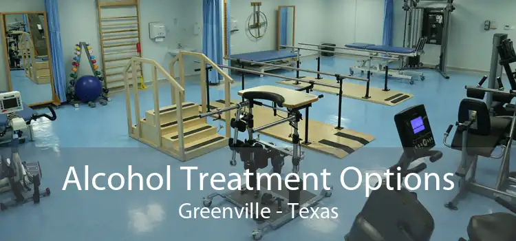 Alcohol Treatment Options Greenville - Texas