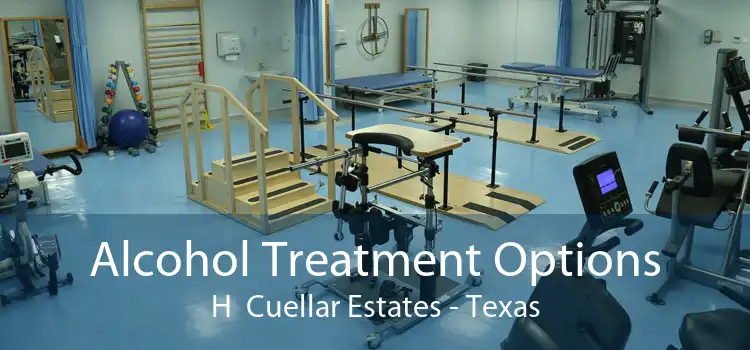 Alcohol Treatment Options H  Cuellar Estates - Texas