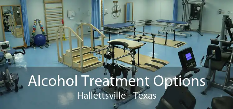 Alcohol Treatment Options Hallettsville - Texas