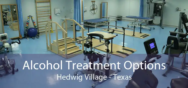 Alcohol Treatment Options Hedwig Village - Texas