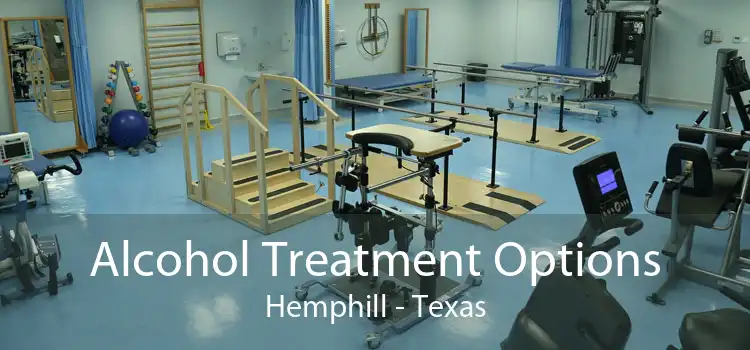 Alcohol Treatment Options Hemphill - Texas