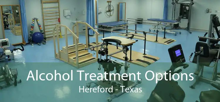 Alcohol Treatment Options Hereford - Texas