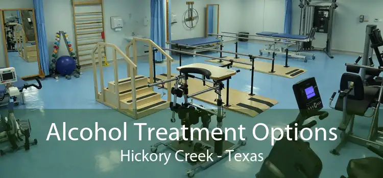 Alcohol Treatment Options Hickory Creek - Texas