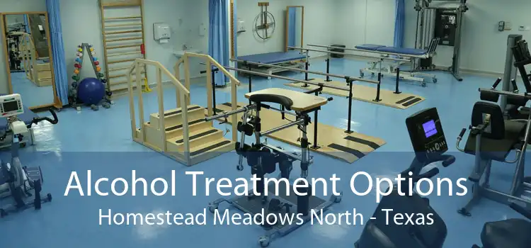 Alcohol Treatment Options Homestead Meadows North - Texas